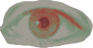 Tritone eye